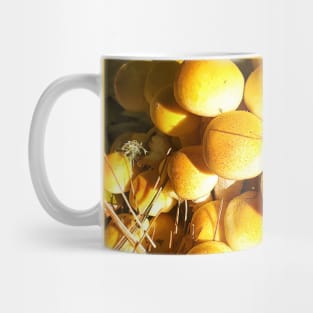 Baby Honey Mushrooms Mug